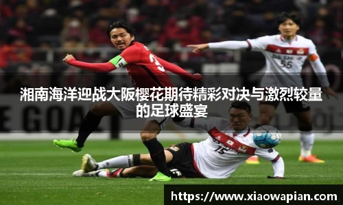熊猫体育网站